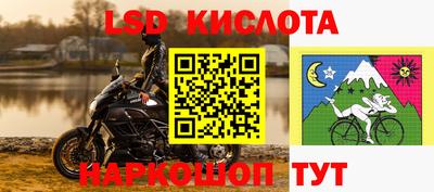spice Кингисепп