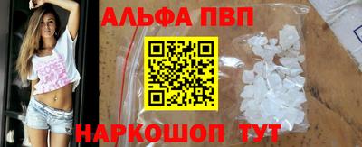 spice Кингисепп