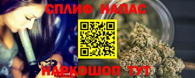 гидра Кимры