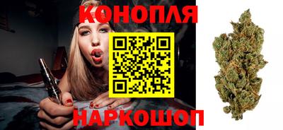 гидра Кимры