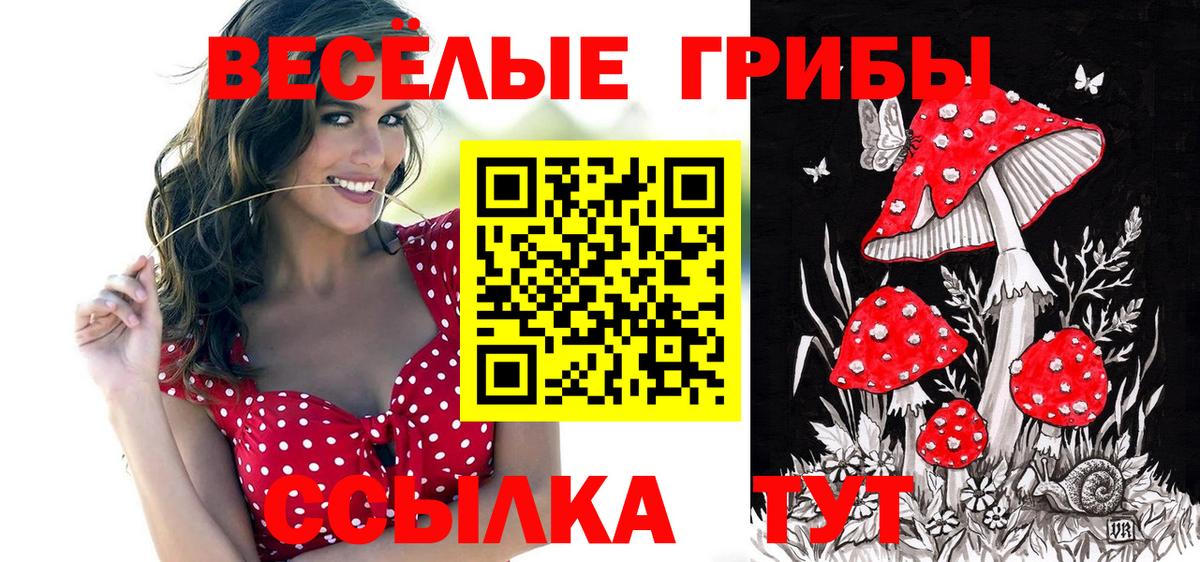 Саки  Галлюциногенные грибы Magic Shrooms  Вход с VPN 